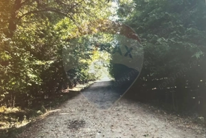 Teren cu deschidere la lac 1,430mp - imagine 2