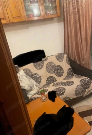 Camera de camin - imagine 5