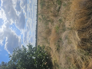 2000 mp teren intravilan  - imagine 4