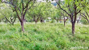 Teren constructii intravilan 3600mp - imagine 2