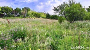 Teren constructii intravilan 3600mp - imagine 3