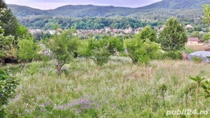 Teren constructii intravilan 3600mp - imagine 4