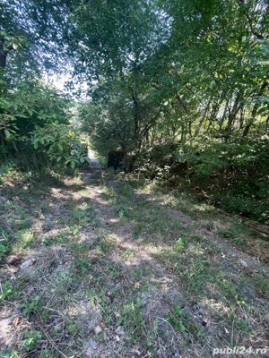 Teren constructii intravilan 3600mp - imagine 7