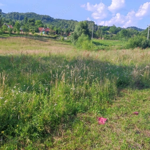 Vând teren 2500 mp negoceabil - imagine 4 Vând teren 2500 mp negoceabil - imagine 4