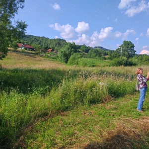 Vând teren 2500 mp negoceabil