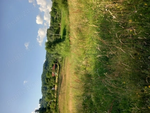 Vând teren 2500 mp negoceabil - imagine 3 Vând teren 2500 mp negoceabil - imagine 3