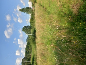 Vând teren 2500 mp negoceabil - imagine 2 Vând teren 2500 mp negoceabil - imagine 2