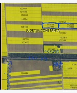 teren extravilan si intravilan