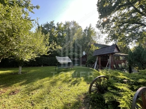 Teren deosebit cu cabană din lemn, Tocile – locație liniștită - imagine 2