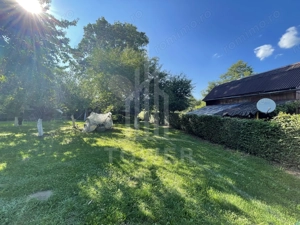 Teren deosebit cu cabană din lemn, Tocile – locație liniștită - imagine 4