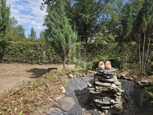 Teren deosebit cu cabană din lemn, Tocile – locație liniștită - imagine 7