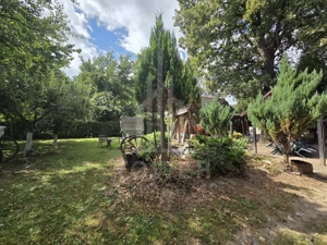 Teren deosebit cu cabană din lemn, Tocile – locație liniștită - imagine 9