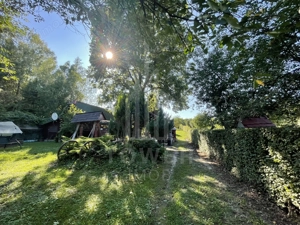 Teren deosebit cu cabană din lemn, Tocile – locație liniștită - imagine 16