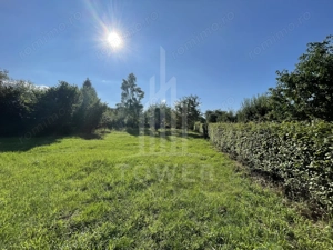 Teren deosebit cu cabană din lemn, Tocile – locație liniștită - imagine 5