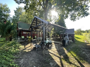 Teren deosebit cu cabană din lemn, Tocile – locație liniștită - imagine 13