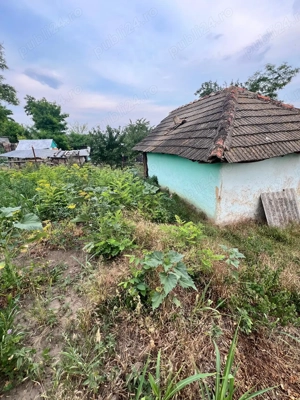 Teren intravilan 855 mp, Centru Perieni, Probota, Iasi - imagine 3