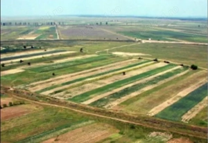 Teren arabil Leu, Dolj