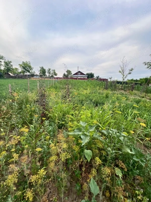 Teren intravilan 855 mp, Centru Perieni, Probota, Iasi - imagine 6