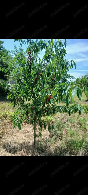 Vand sau schimb Teren intravilan în comuna popesti 