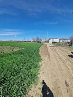 teren casa tichilesti