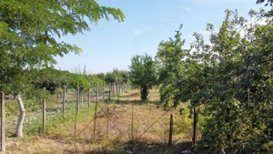 vind cas  in com g lbinasi jud. buz u cu toate utilit tile ap  curent  canalizare curent  suprafat   - imagine 5