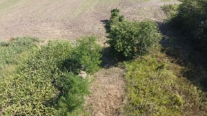 vind cas  in com g lbinasi jud. buz u cu toate utilit tile ap  curent  canalizare curent  suprafat   - imagine 18