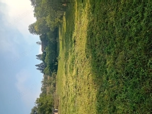 Teren pentru casă  - imagine 2