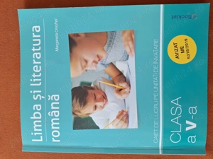 Limba romana - Clasa 5   Caiet de lucrari pe unitati de invatare