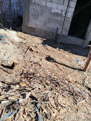 Giulesti Lacul Morii - imagine 9