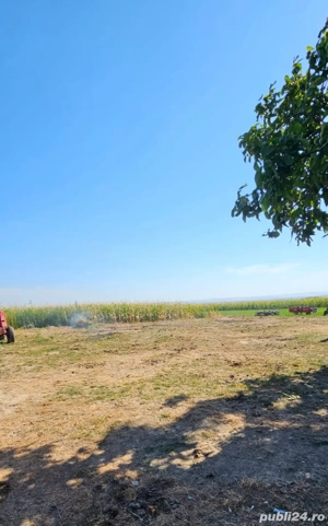 teren de vanzare