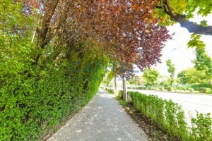 EXCLUSIVITATE! COMISION %! Ap 1 camera, etajul 3/8,  Plopilor, Parcul Rozelor - imagine 10