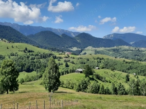 Teren extravilan de vanzare Sirnea - imagine 4