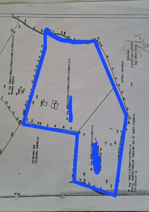 Teren extravilan de vanzare Sirnea - imagine 3