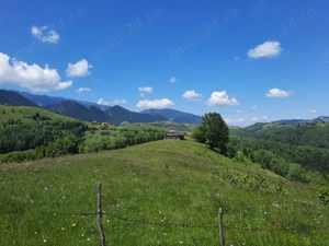 Teren extravilan de vanzare Sirnea