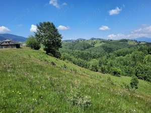 Teren extravilan de vanzare Sirnea - imagine 5