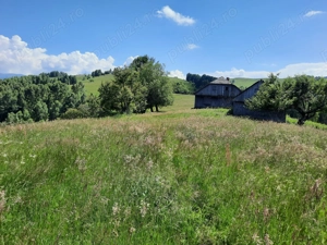 Teren extravilan de vanzare Sirnea - imagine 6