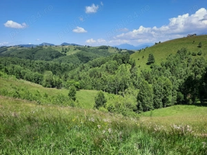 Teren extravilan de vanzare Sirnea - imagine 8