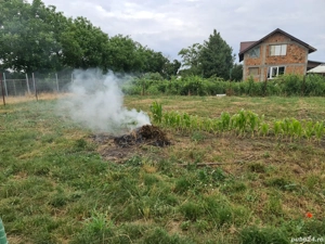 Teren intravilan 2500 mp în Slobozia, Ialomița  - imagine 6