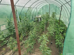 Teren intravilan 2500 mp în Slobozia, Ialomița  - imagine 7