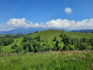 Teren extravilan de vanzare Sirnea - imagine 9