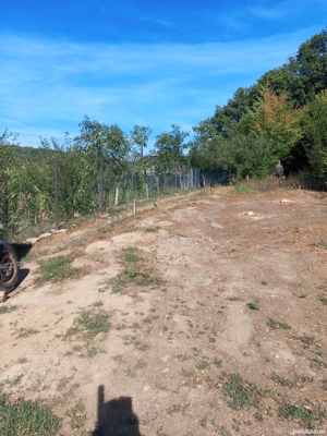 Vand parcele de 500 m teren intravilan in comuna Draganu,sat Dumbrăvești  - imagine 2