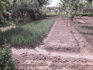 Casa particulara in conditii foarte bune cu gradina aproape de Tg. Mures - imagine 3