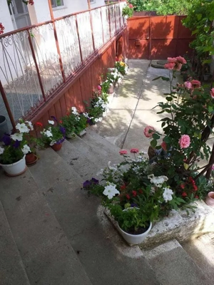 Casa particulara in conditii foarte bune cu gradina aproape de Tg. Mures - imagine 7