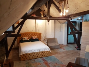 Aartament 5 camere de inchiriat in vila et 2, Parc Carol, Unirii-Tineretului - imagine 5