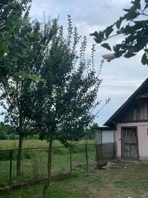 Casa + teren de 17.000 m2 de vanzare in sat Aciua, comuna Pomi, jud.Satu Mare - imagine 5