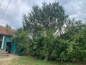 Casa + teren de 17.000 m2 de vanzare in sat Aciua, comuna Pomi, jud.Satu Mare - imagine 8