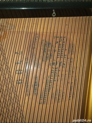 Pian Vienez Rudolf Stelzhammer - imagine 5