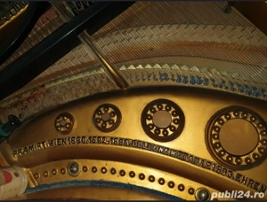 Pian Vienez Rudolf Stelzhammer - imagine 3