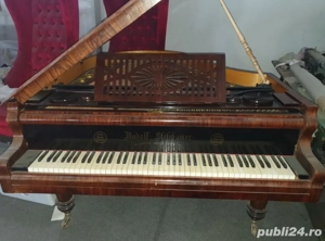 Pian Vienez Rudolf Stelzhammer