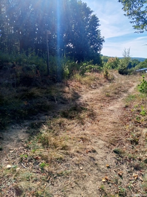 Vand parcele de 500 m teren intravilan in comuna Draganu,sat Dumbrăvești  - imagine 5